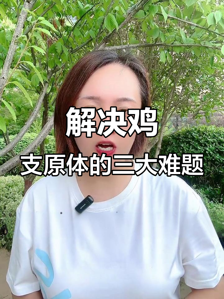 鸡支原体三种类型及治疗方案,轻松应对难治问题