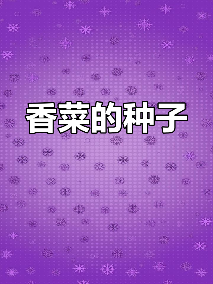 香菜籽的奇妙用途与功效