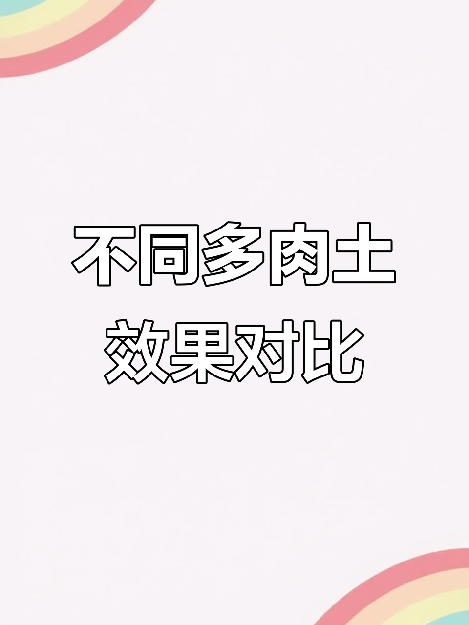 多肉土选哪种？从颗粒到黄金麦饭石的差距大揭秘
