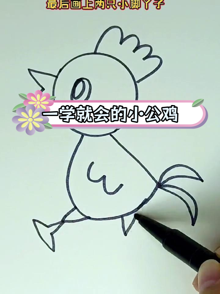轻松学会画小公鸡