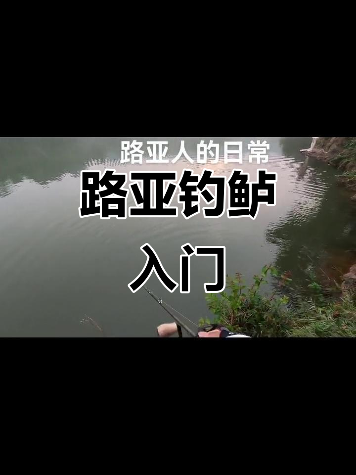 路亚钓鲈鱼技巧大揭秘,如何轻松上手