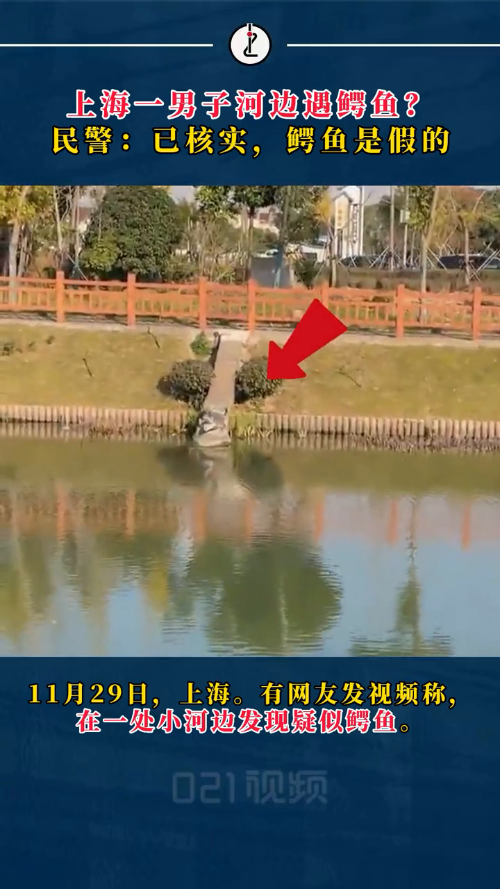 上海一男子河边发现鳄鱼实为雕塑