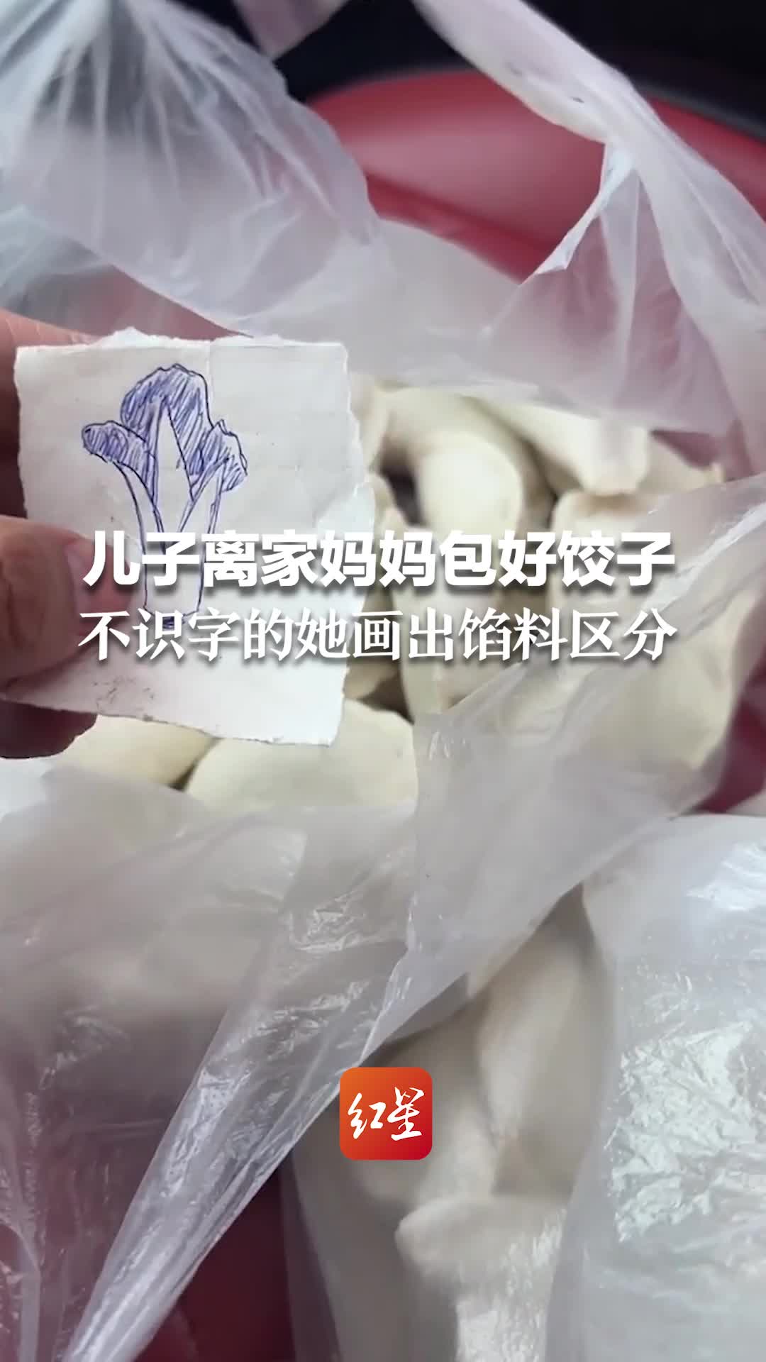 儿子复工离家,不识字的妈妈给他包饺子并画出馅料区分,白菜、猪肉,看到这些泪目了