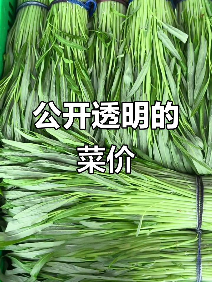 海吉星批发市场蔬菜价格透明,一手货源轻松拿