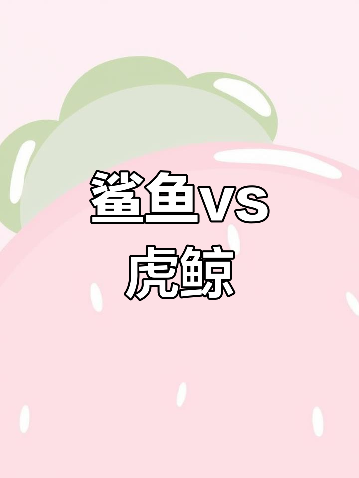 鲨鱼与虎鲸的深海对决,究竟谁更强?