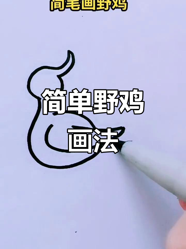 可爱野鸡简笔画,轻松学会!