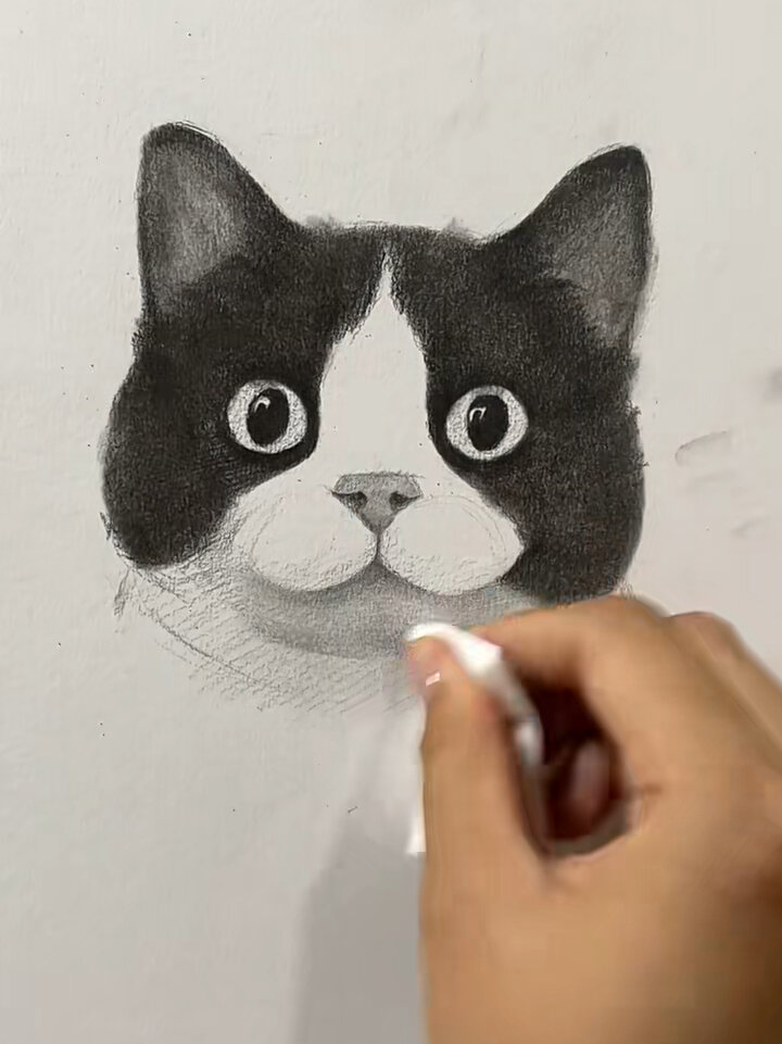 素描可爱的黑白奶牛猫头像