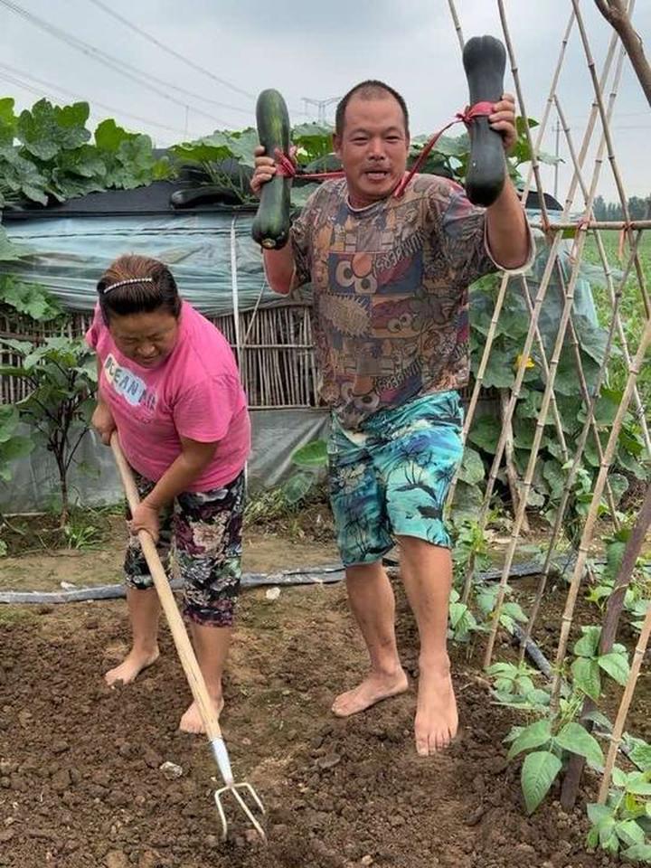 我们河南叶县的菜南瓜能不能走出河南走向全国各地