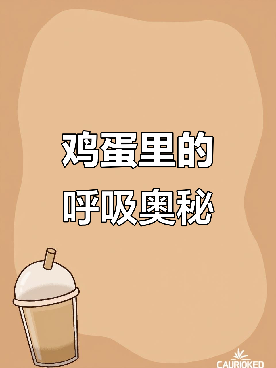 鸡仔如何在蛋壳内呼吸?揭秘氧气进入的秘密