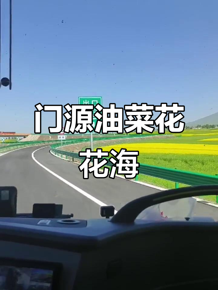 7月5日门源油菜花海实拍,最美风景在路上