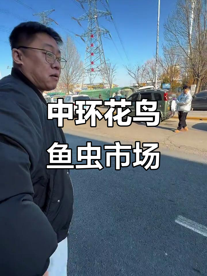 天津中环花鸟鱼虫市场探秘,北方最大观赏鱼市场大揭秘