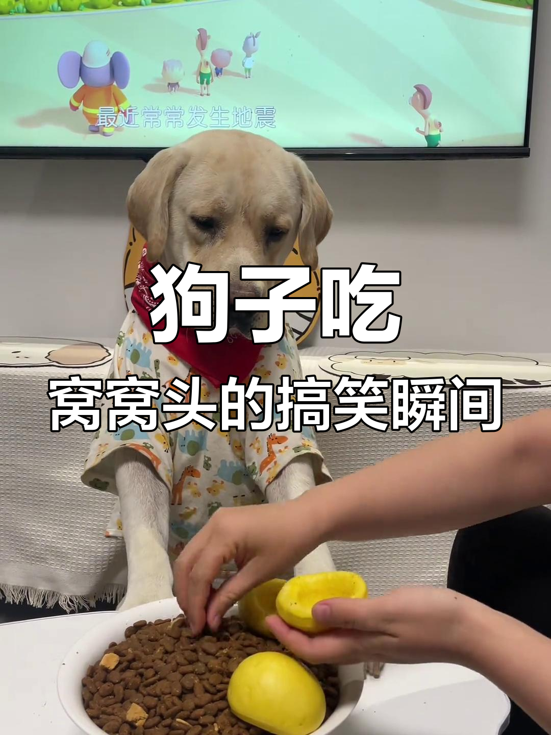 这狗子吃个窝窝头,表情比人还丰富