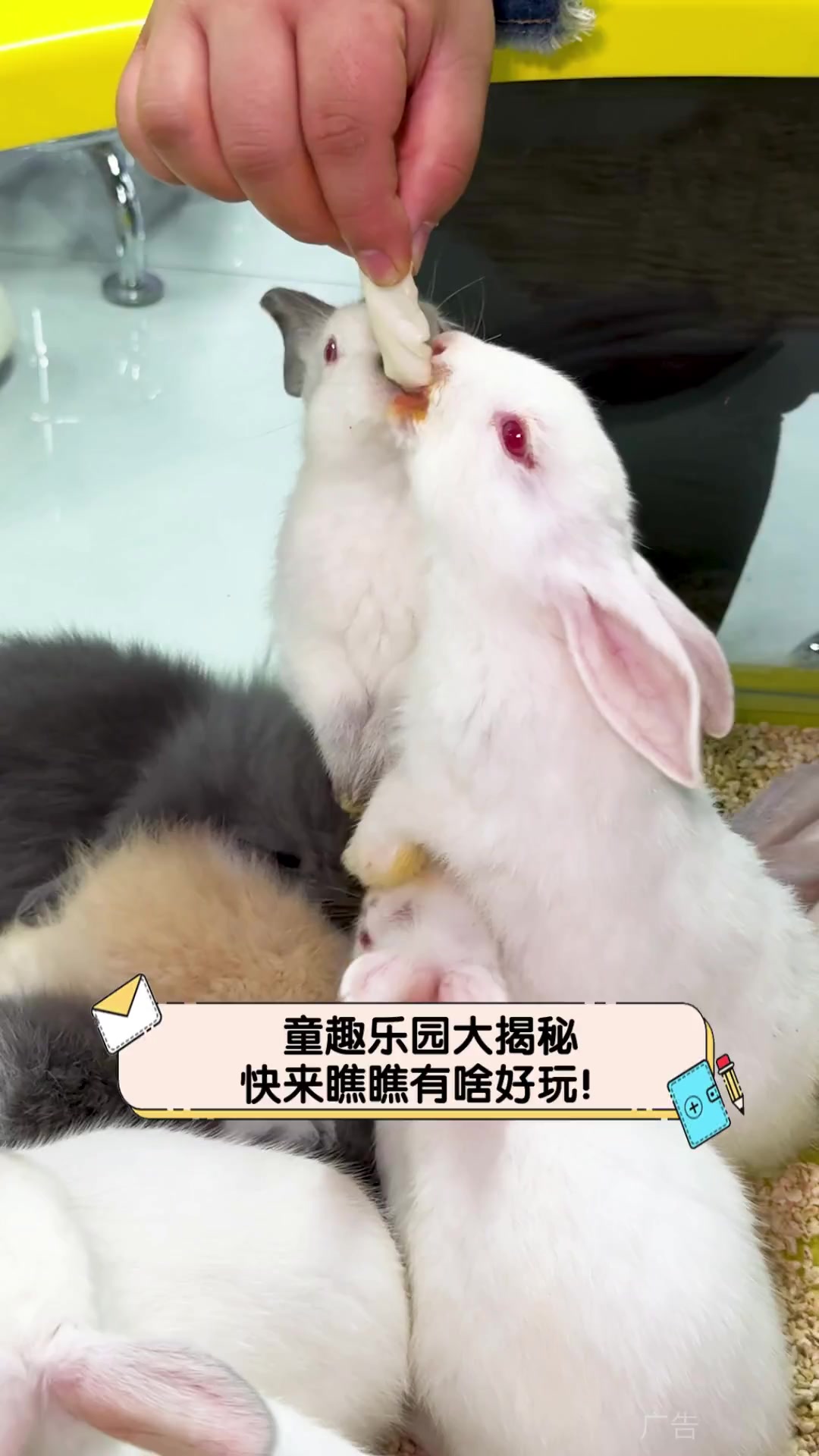 童趣乐园大揭秘,快来瞧瞧有啥好玩!
