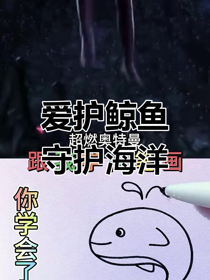鲸鱼可爱又珍贵,保护海洋从我做起
