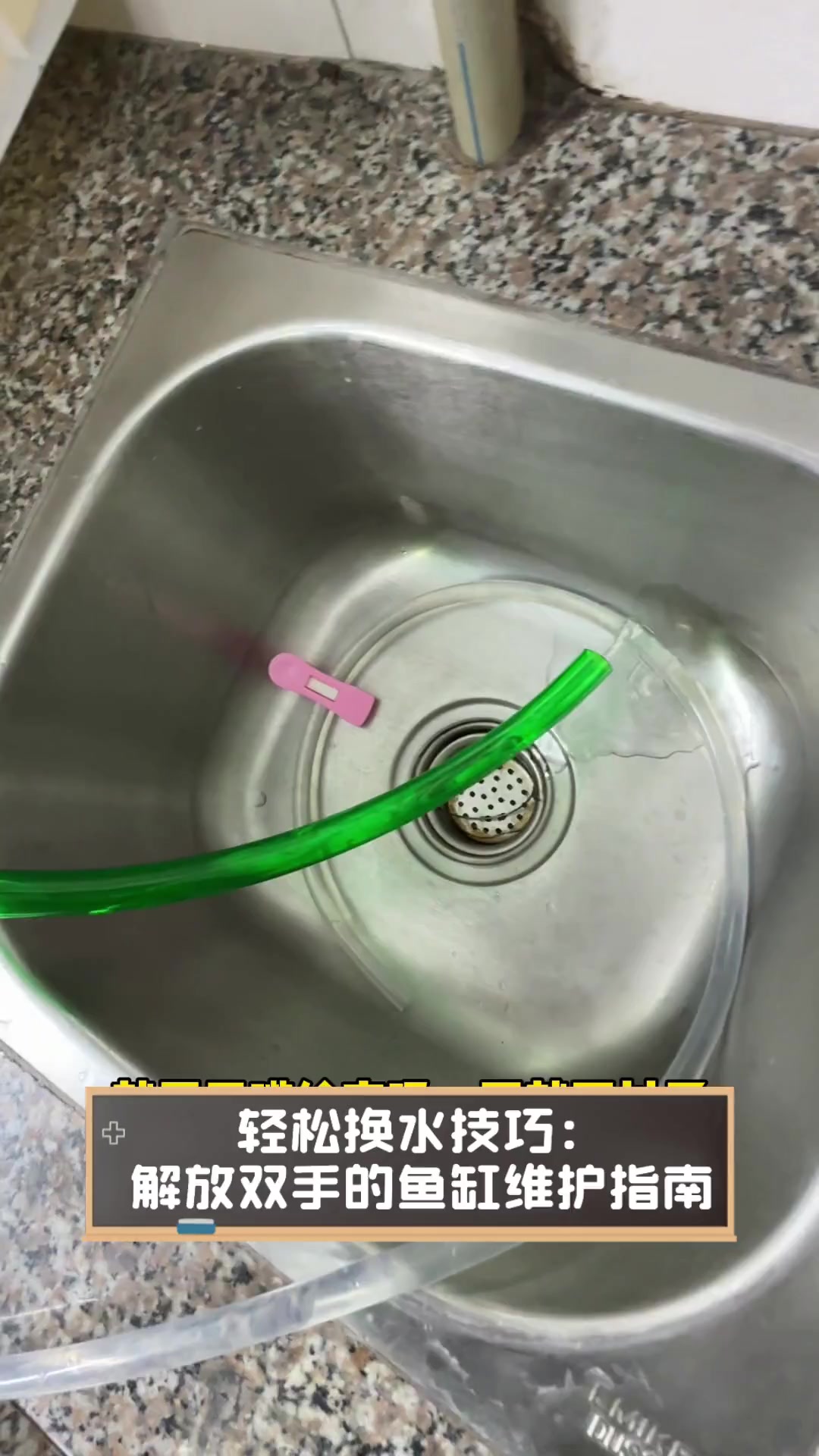 轻松换水技巧:解放双手的鱼缸维护指南