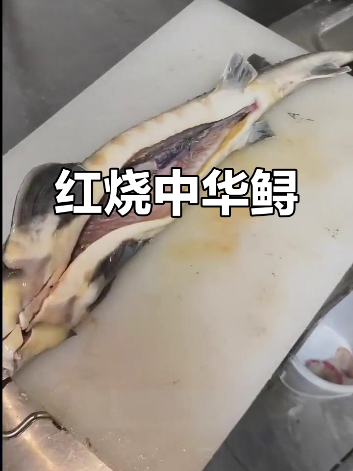 铁锅炖中华鲟,红烧做法大揭秘!