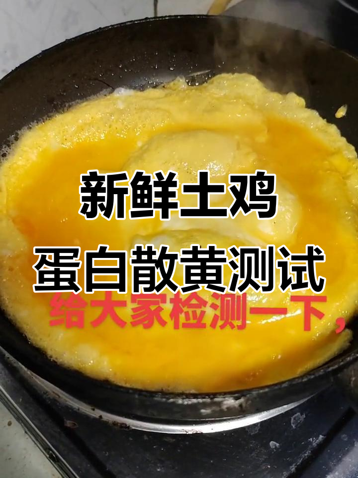 富硒跑山鸡蛋新鲜度大揭秘,煮蛋炒蛋全体验
