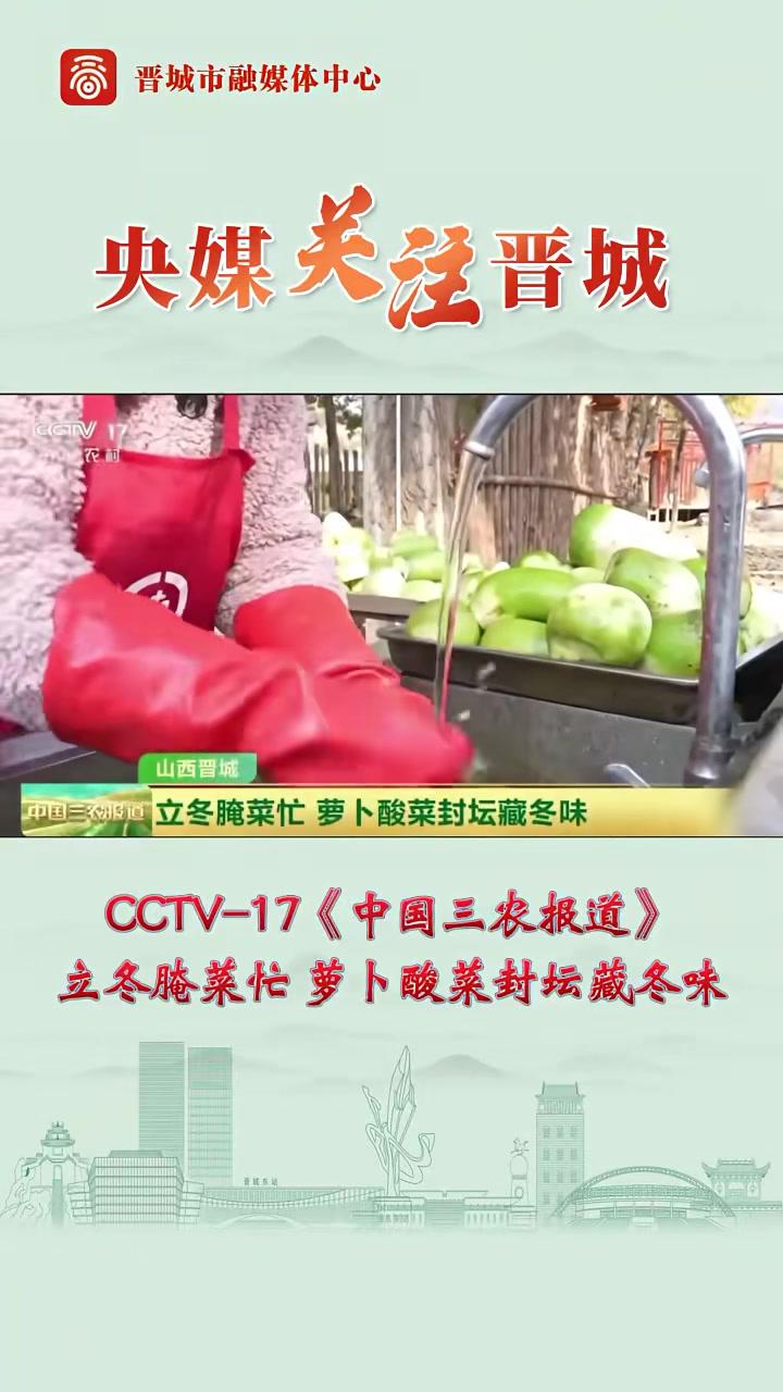 晋城人爱吃的那口酸菜上央视啦!CCTV-17《中国三农报道》关注晋城立冬腌菜忙萝卜酸菜封坛