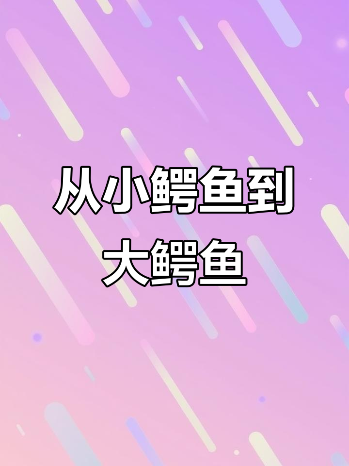 小鳄鱼苗成长记:从70厘米到百万大鳄鱼的蜕变