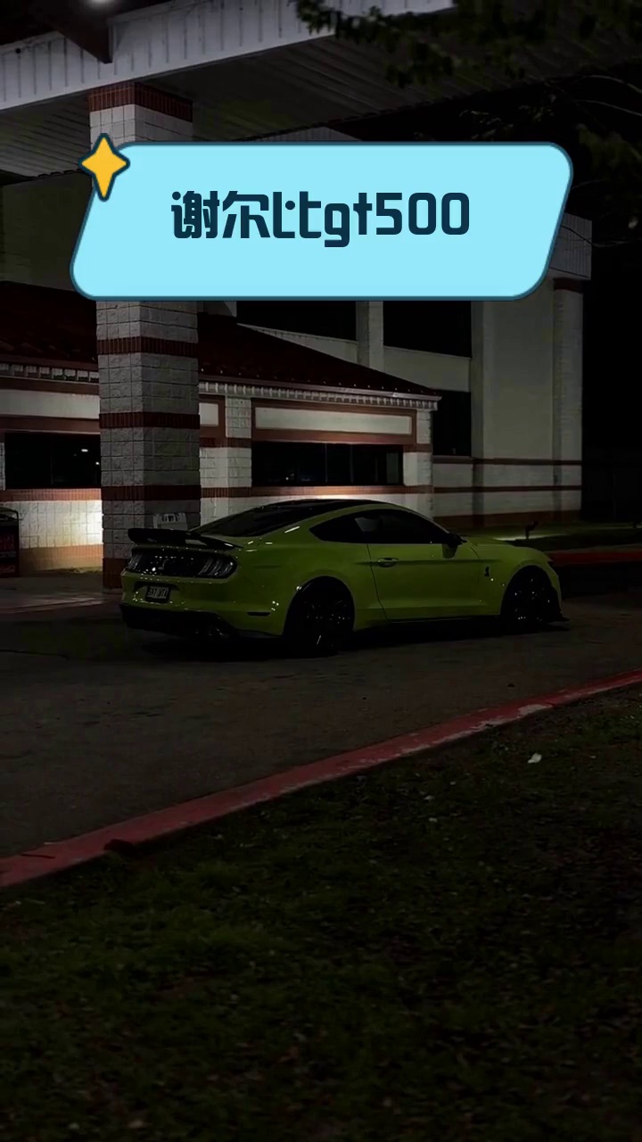 谢尔比gt500