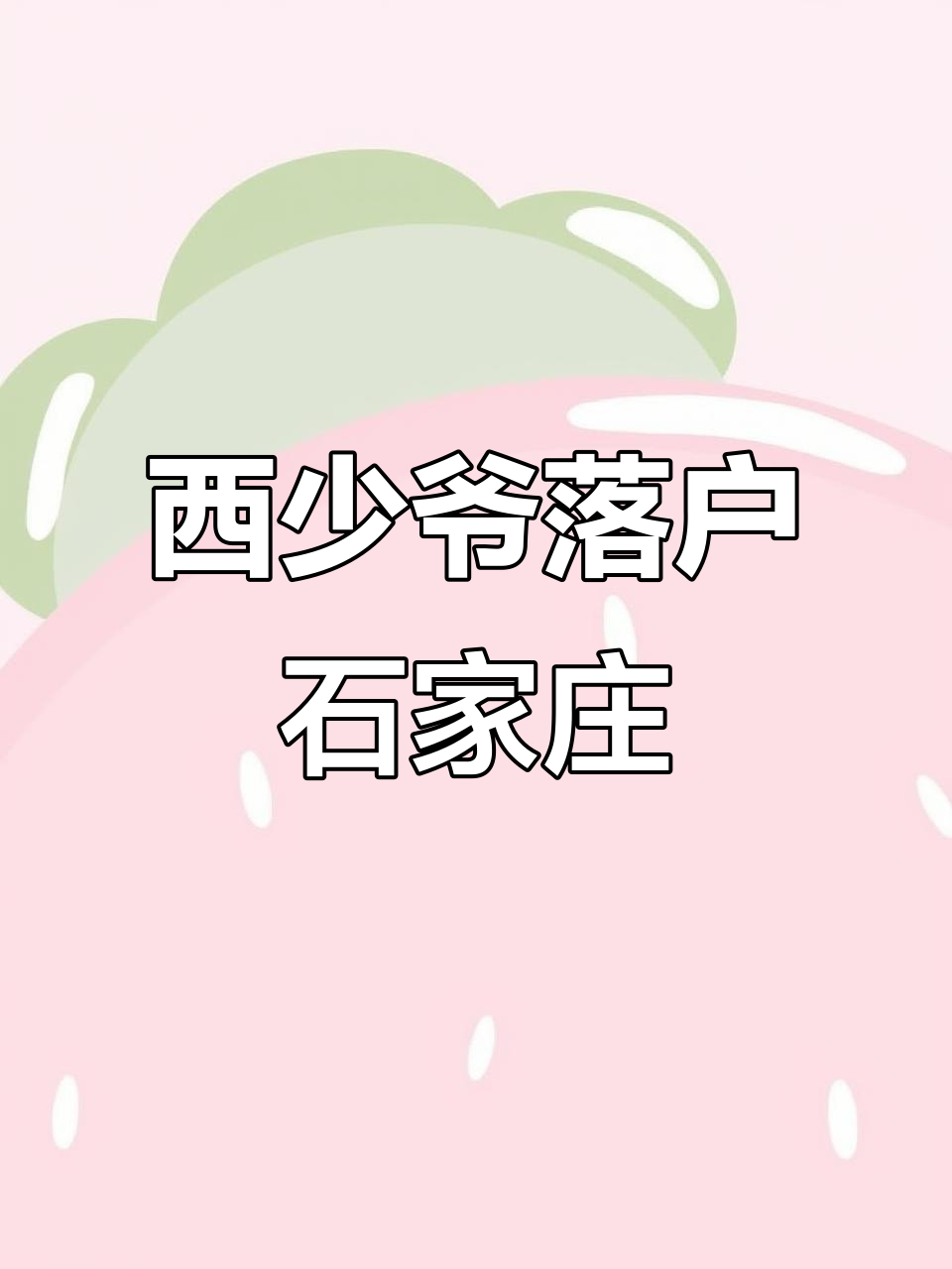石家庄新晋网红肉夹馍,脆皮鸭鸡肉搭配酸梅汤解辣