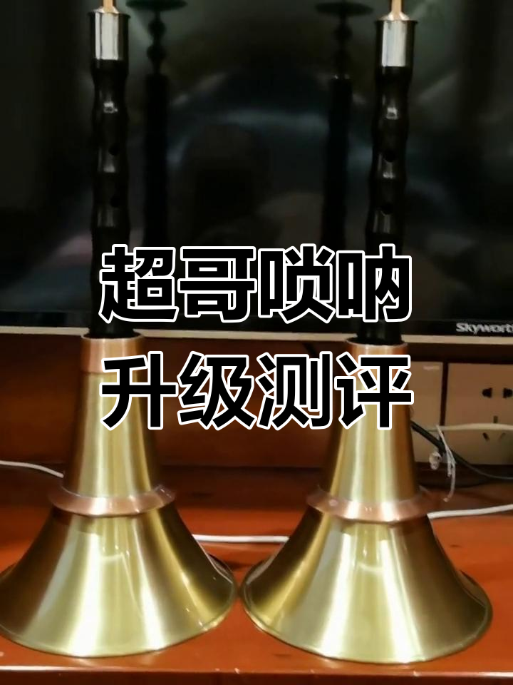 沙拉盘子的真实评测,超哥唢呐升级版揭秘