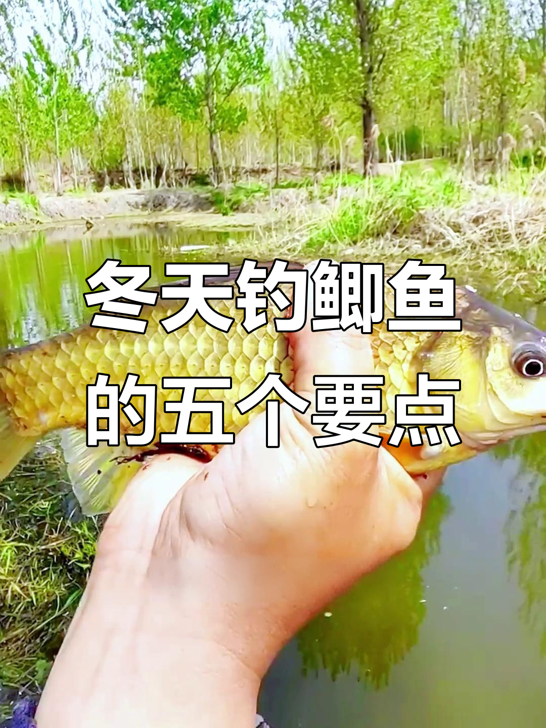 冬季钓鲫鱼技巧:选对位置,轻松上钩