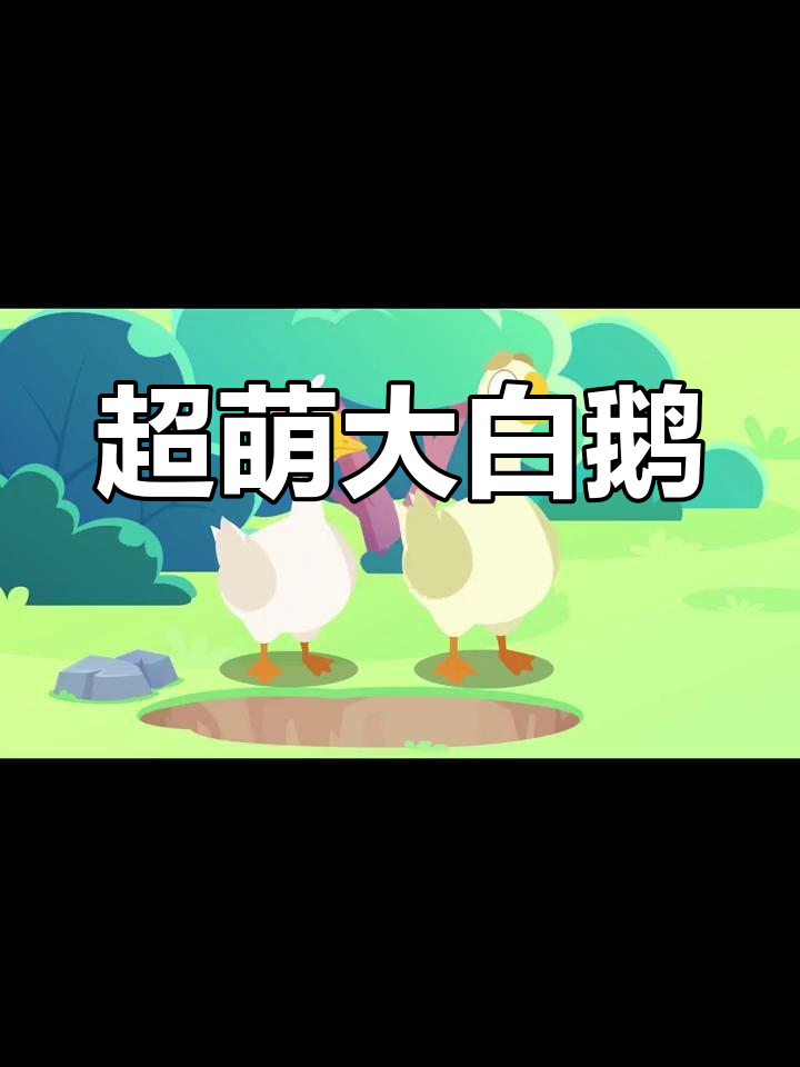 呆萌大白鹅,优雅又可爱