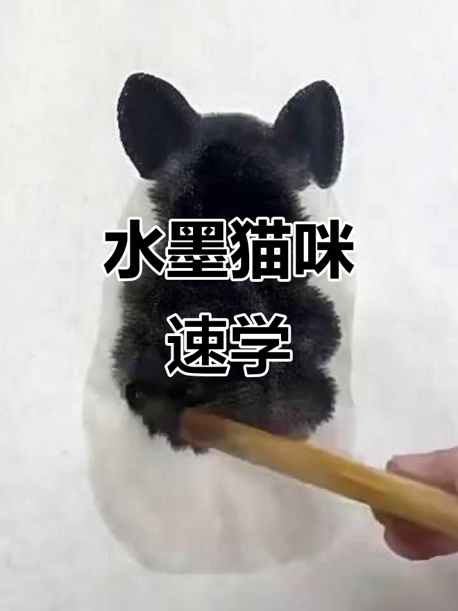 轻松学会水墨猫咪画法,简单又有趣