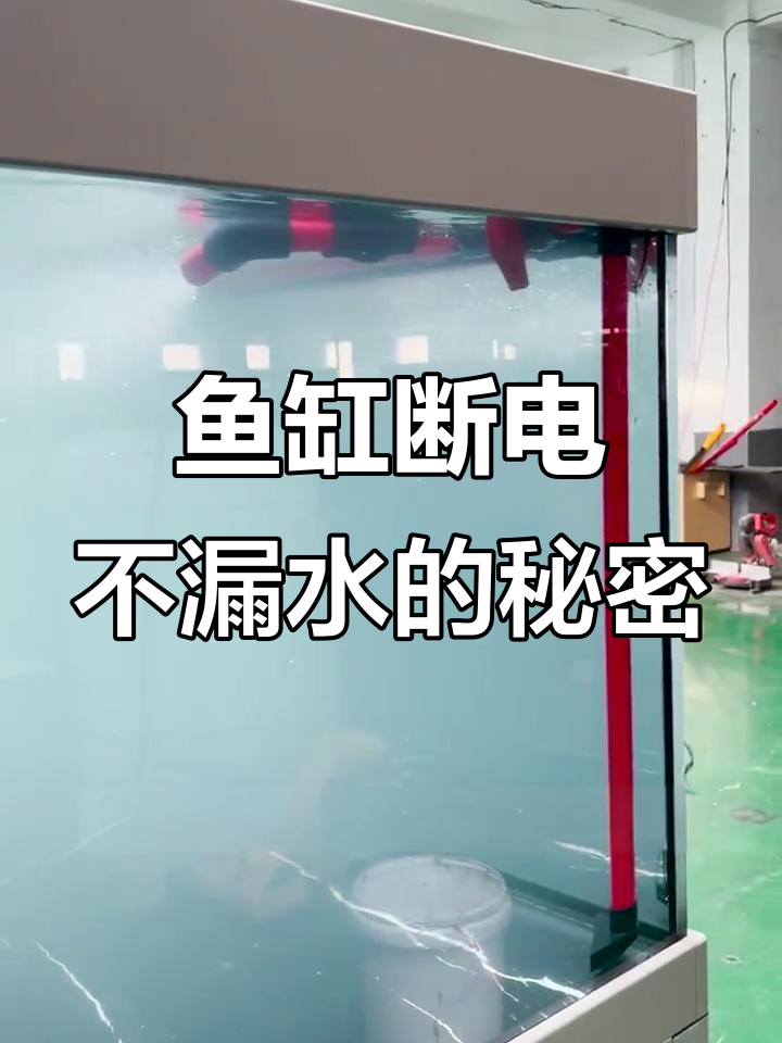 停电后鱼缸不漏水，溢流设计让你安心