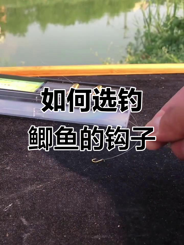 钓鲫鱼必备钩子选择技巧,如何挑选适合的拉饵和刺鱼钩