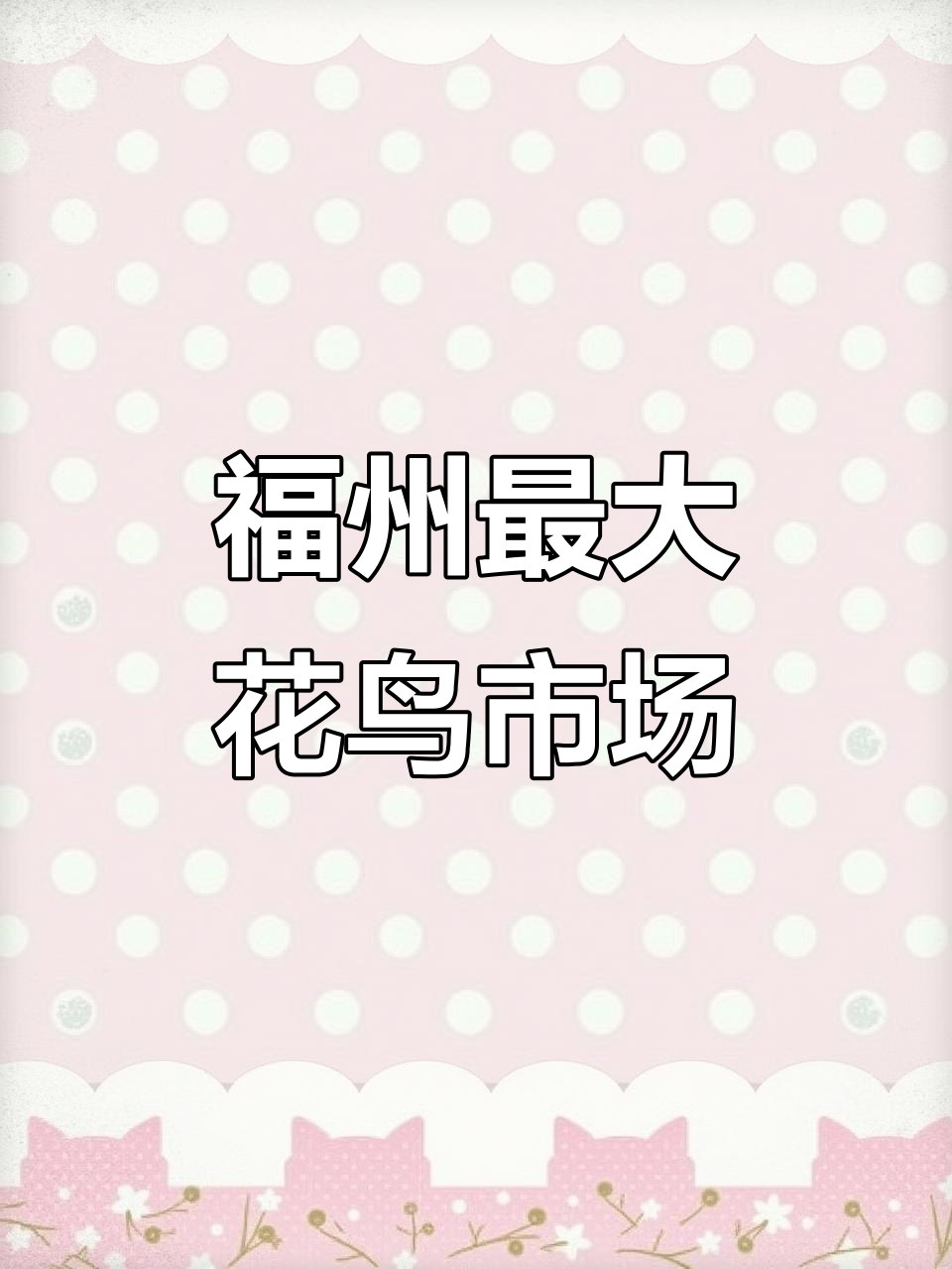 福州国益花鸟市场探秘,海鱼珊瑚美不胜收