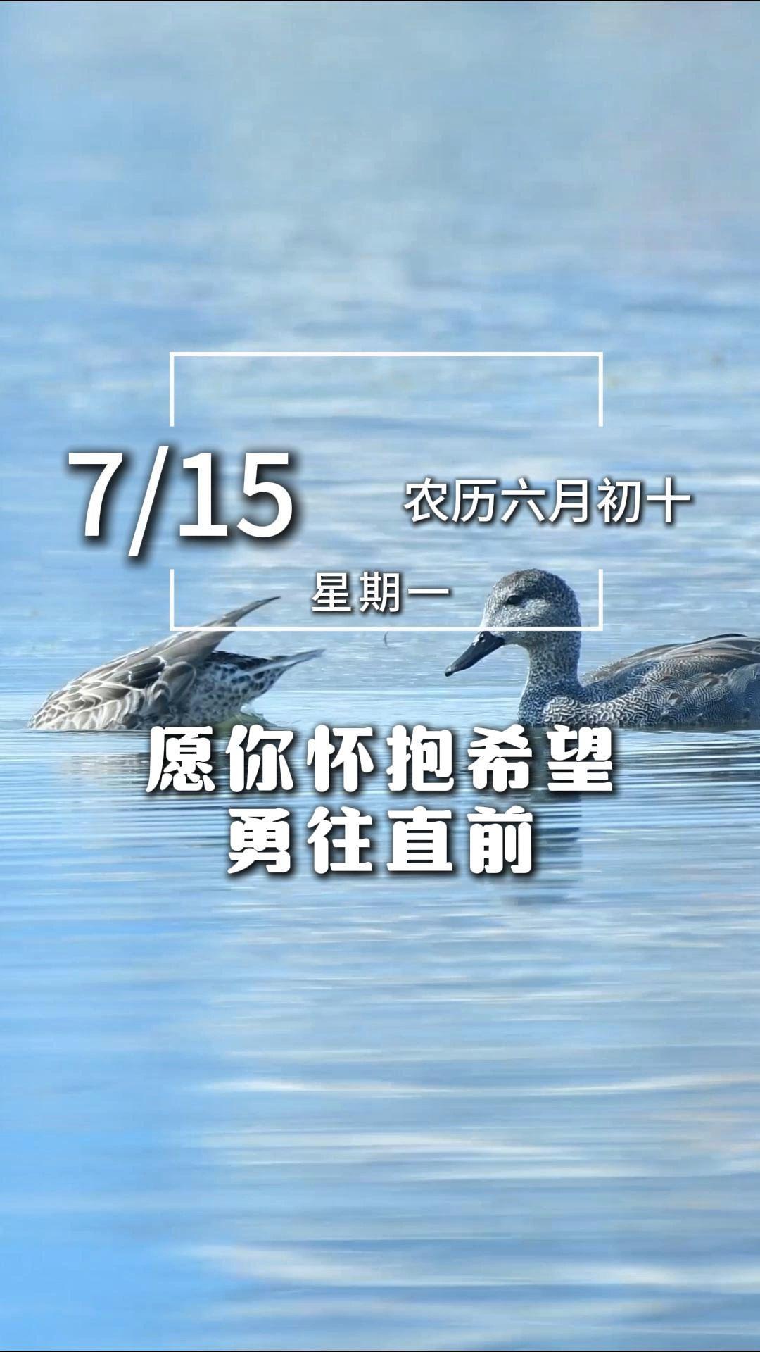 今天是7月15日,星期一,早安 清晨的露珠带着新的希望,每一滴都是生活的赠予。愿你怀抱希望