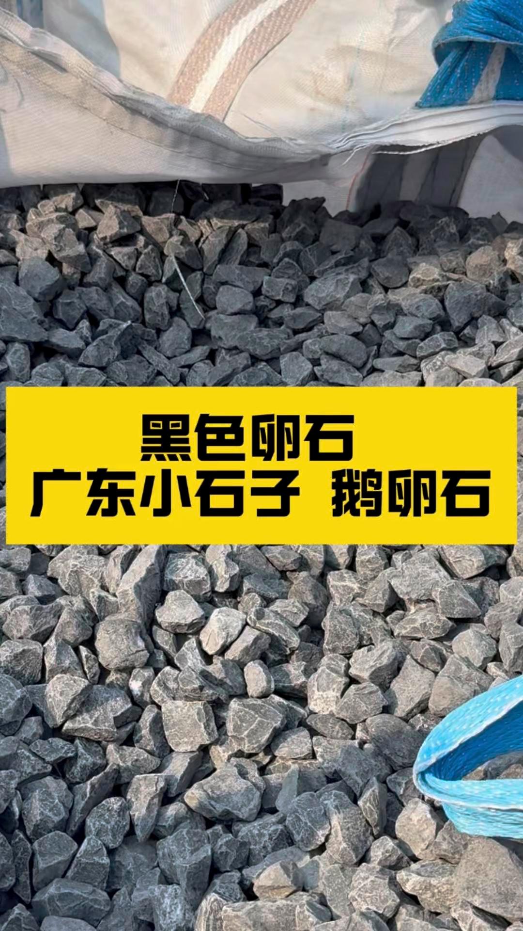 鹅卵石中藏碧玉,黑色卵石显珍贵