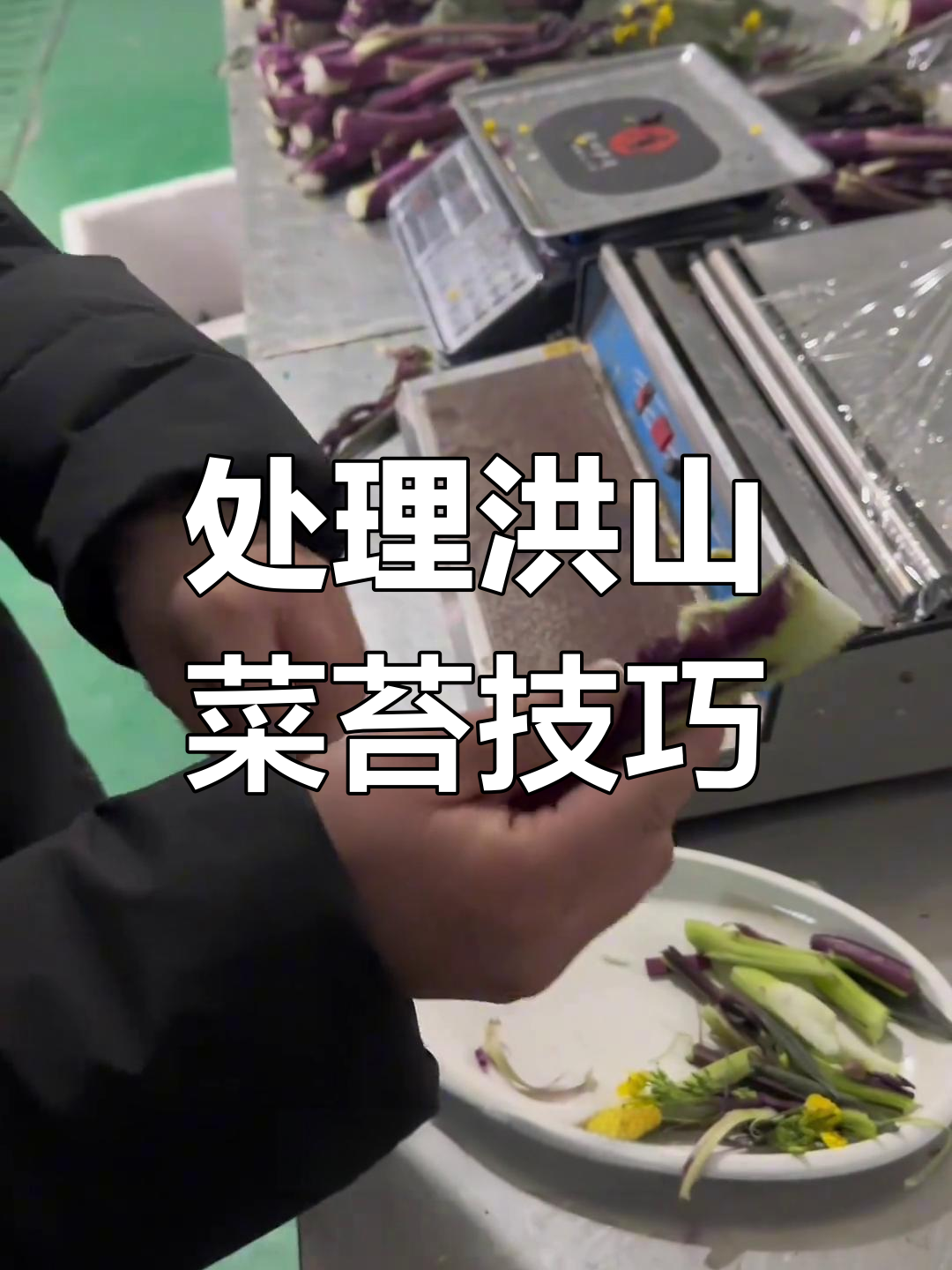 洪山菜苔的完美做法,根部处理是关键