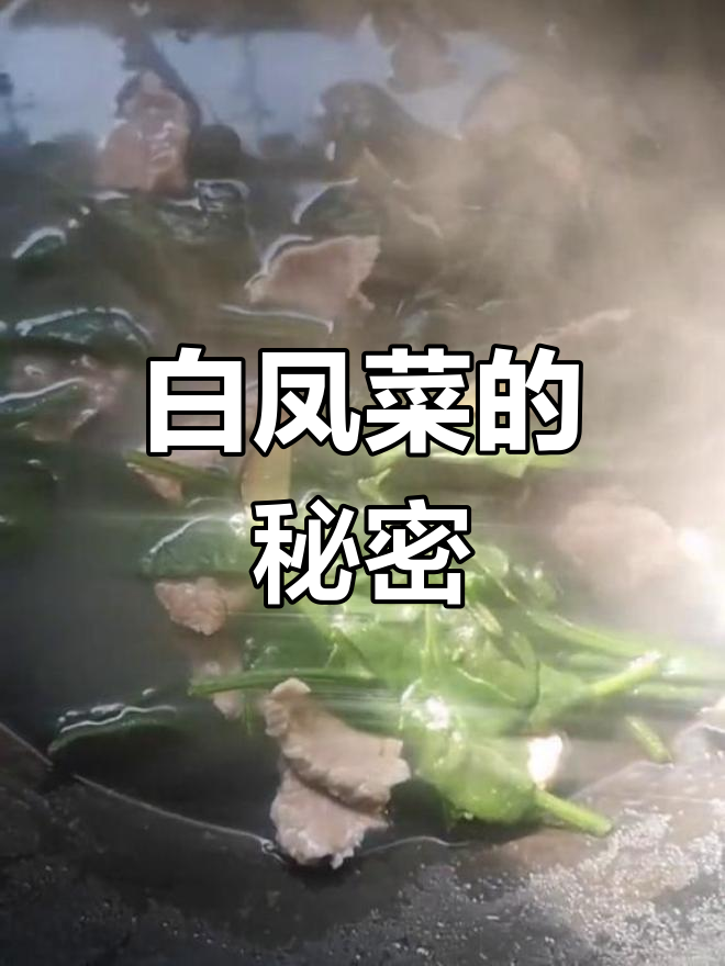 白凤菜,隆教少有人知,我却吃了两大碗!