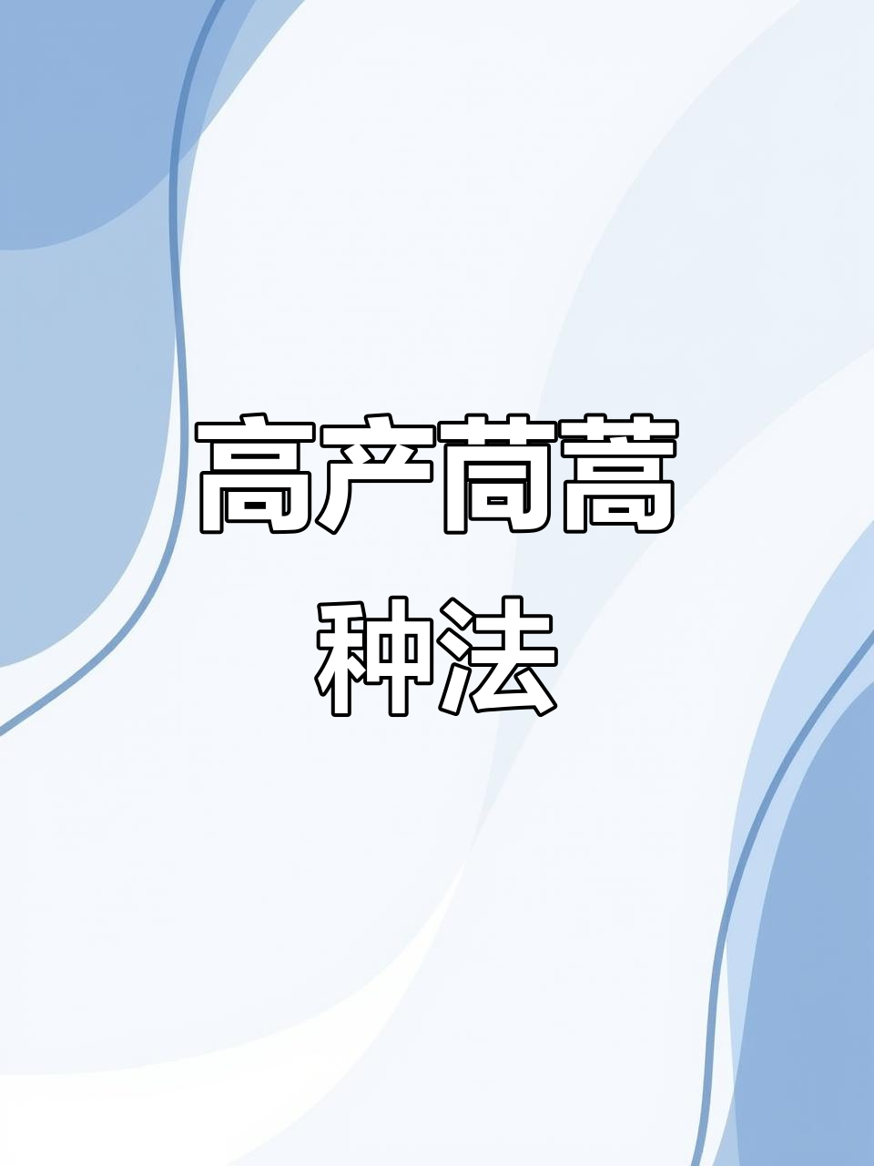 广东菜心苗种植技巧,轻松掌握高产秘诀