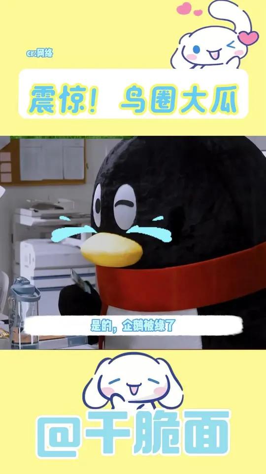 企鹅也是鸟类,贵圈“真乱”哈哈哈哈哈猎奇cp向注意避雷多邻国qq企鹅古早没事的,绿鸟只是年