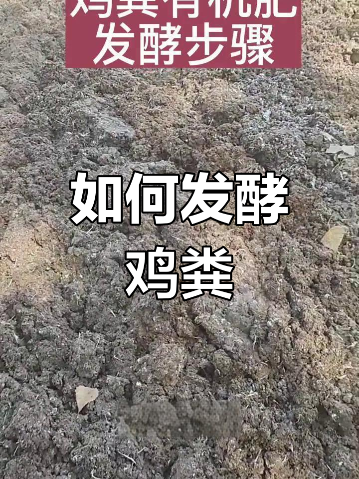 鸡粪发酵有机肥的简便方法
