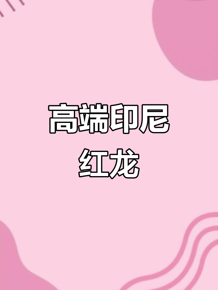 印尼红龙:神秘热带观赏鱼,高端品质的象征