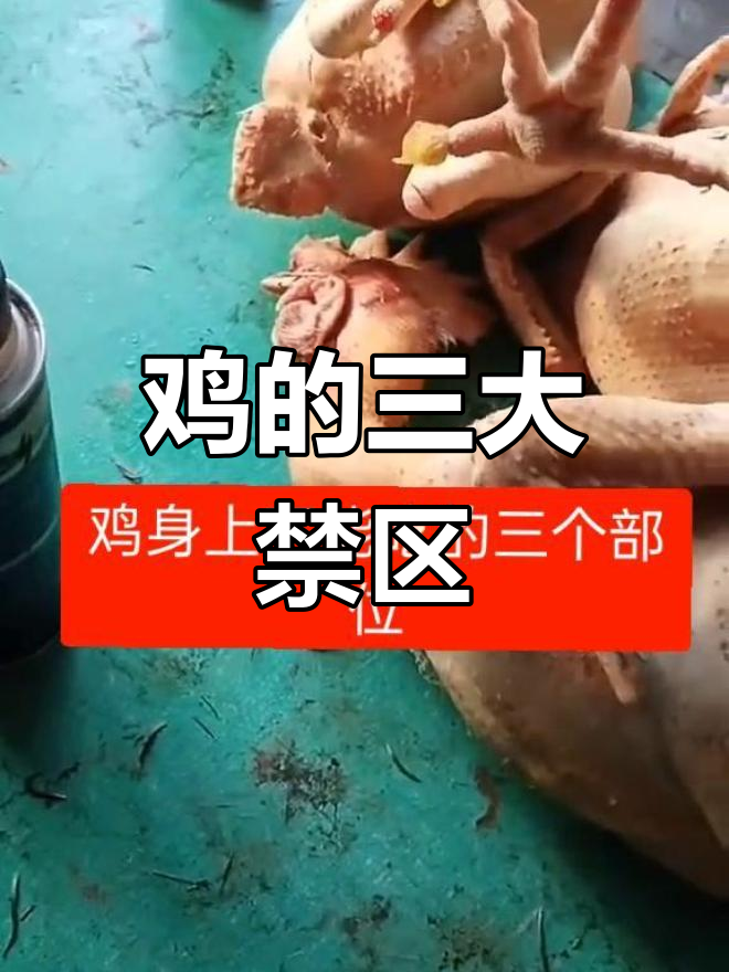 鸡身上这三个部位最脏,吃错了小心寄生虫上身