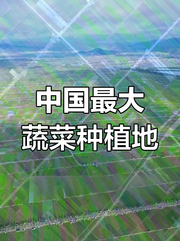 云南通海:中国最大露天蔬菜基地揭秘