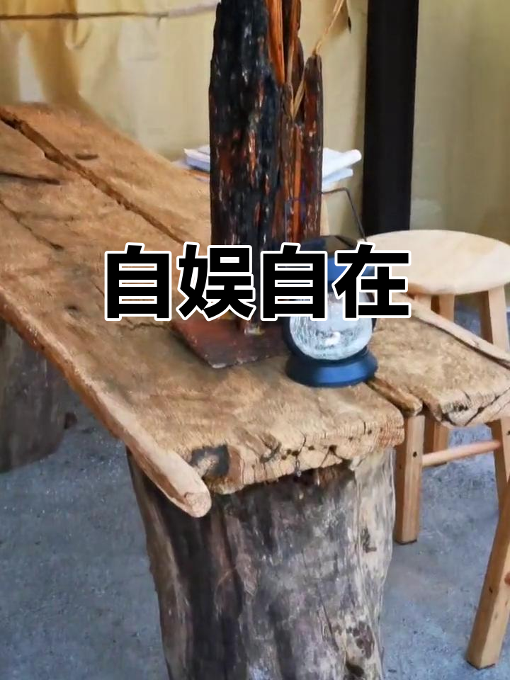 古木盆景,多肉相伴,自得其乐,随心所欲
