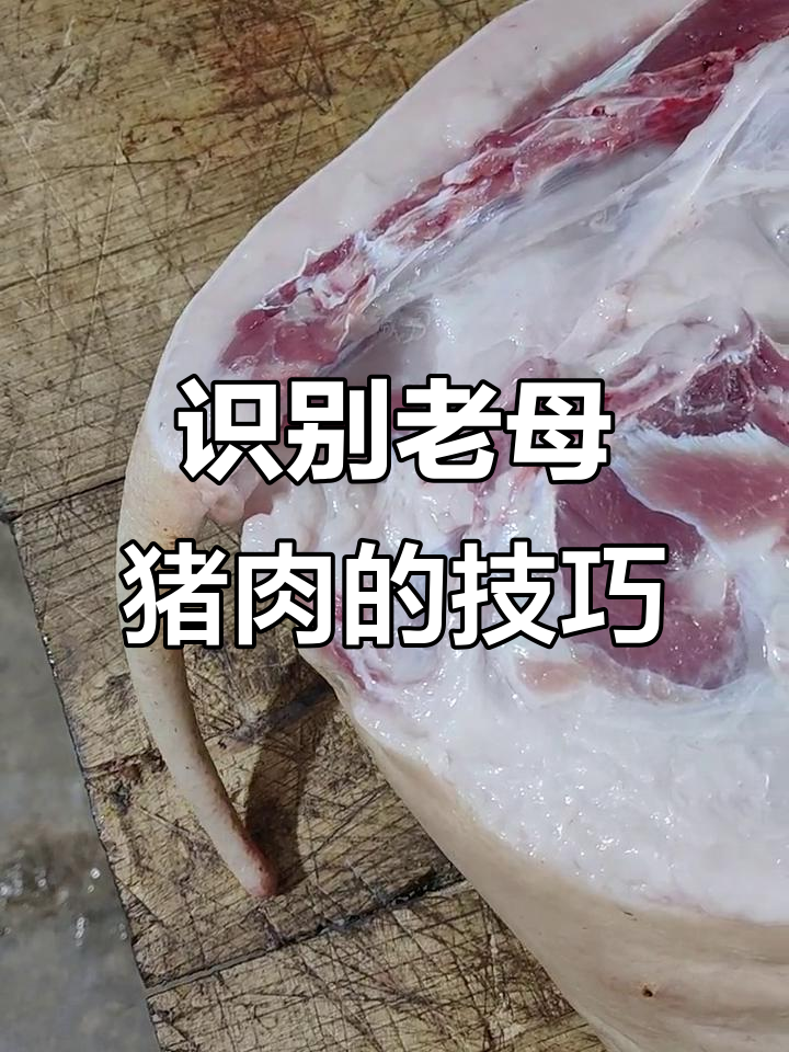 如何辨别老母猪肉，避免买到“木材”一样的肉