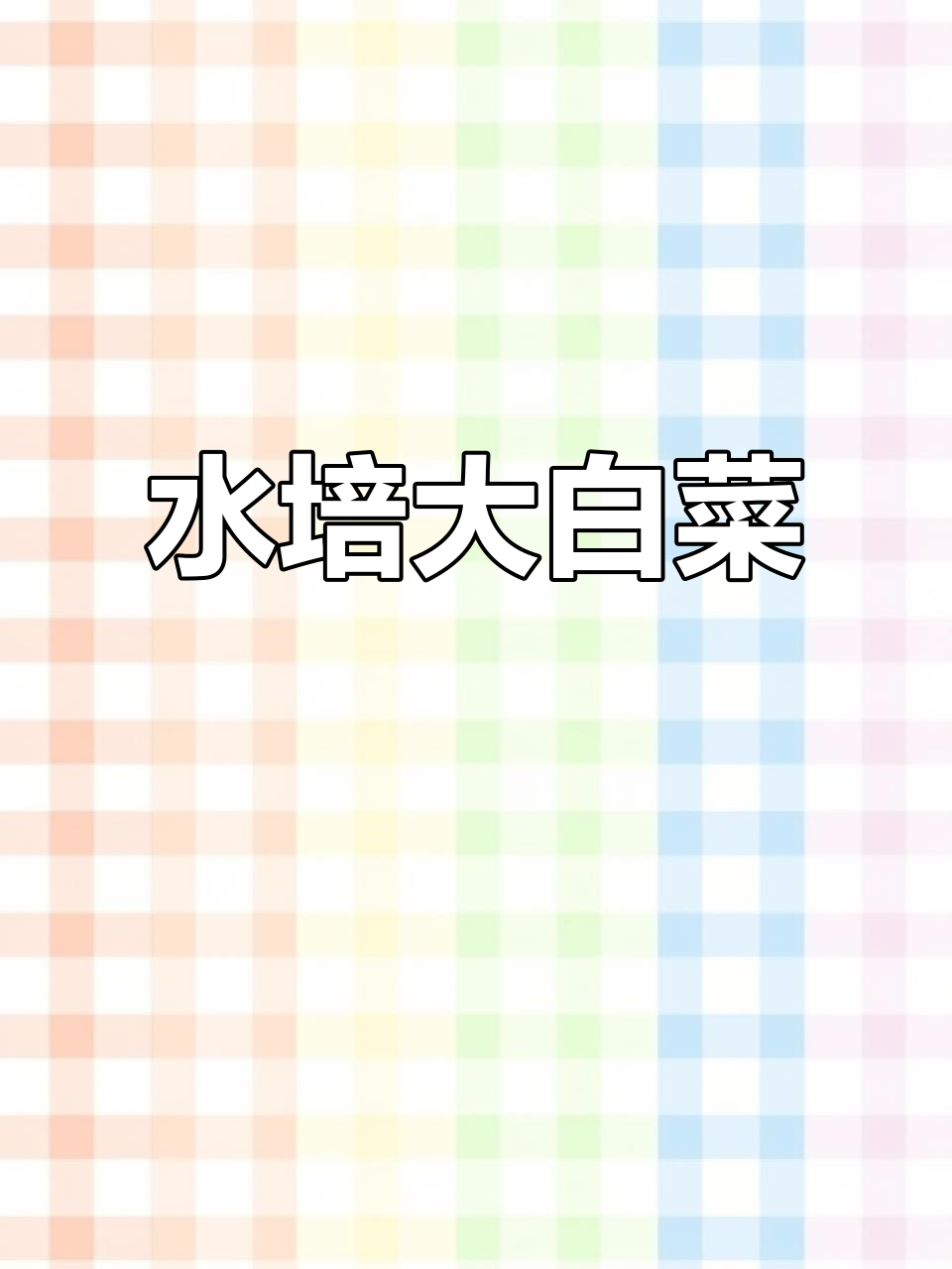 水培大白菜,健康又快乐!