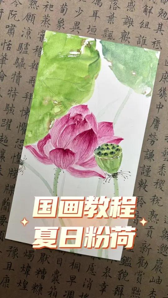 莲藕粉荷国画教程 国画荷花 零基础学国画