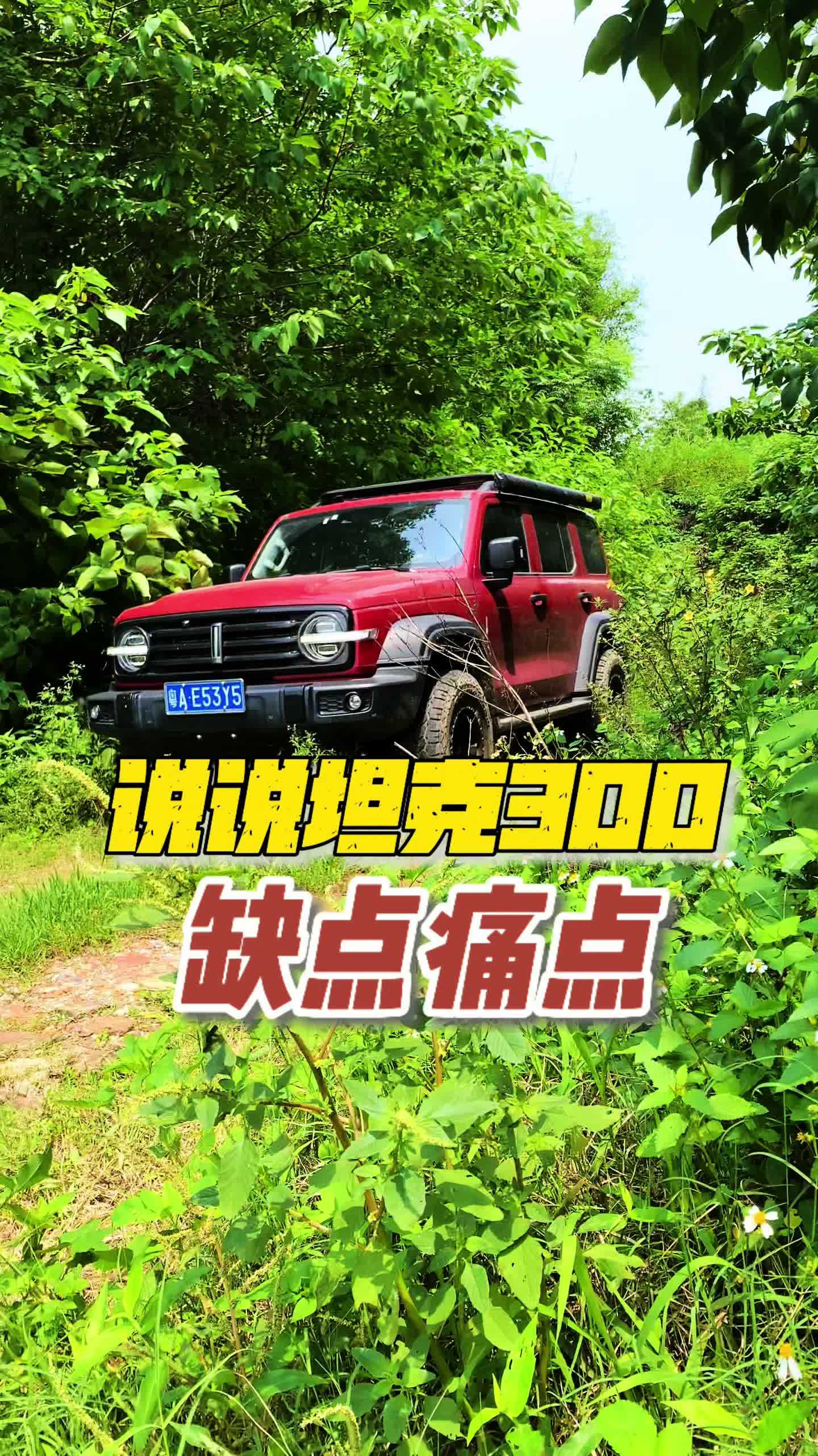 说说坦克300的缺点痛点 坦克300 坦克300越野 坦克300改装 坦克300油耗 拓虎