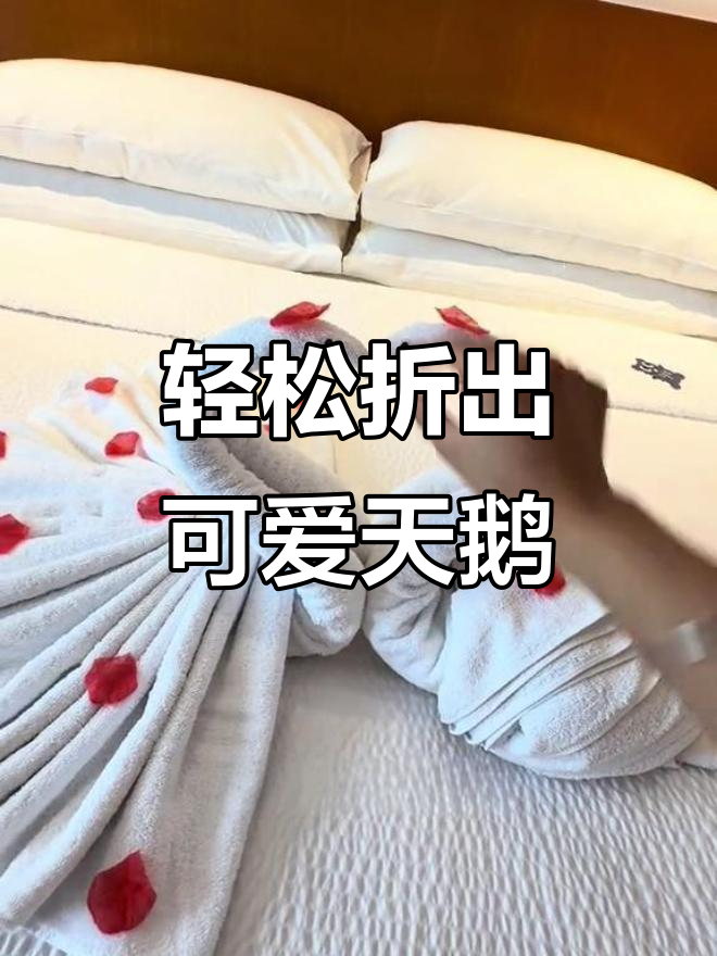 教你用浴巾叠天鹅，打造浪漫酒店氛围