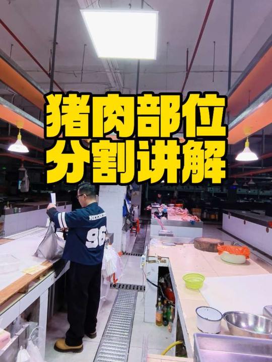 猪肉分割部位讲解,新手买菜及创业指南