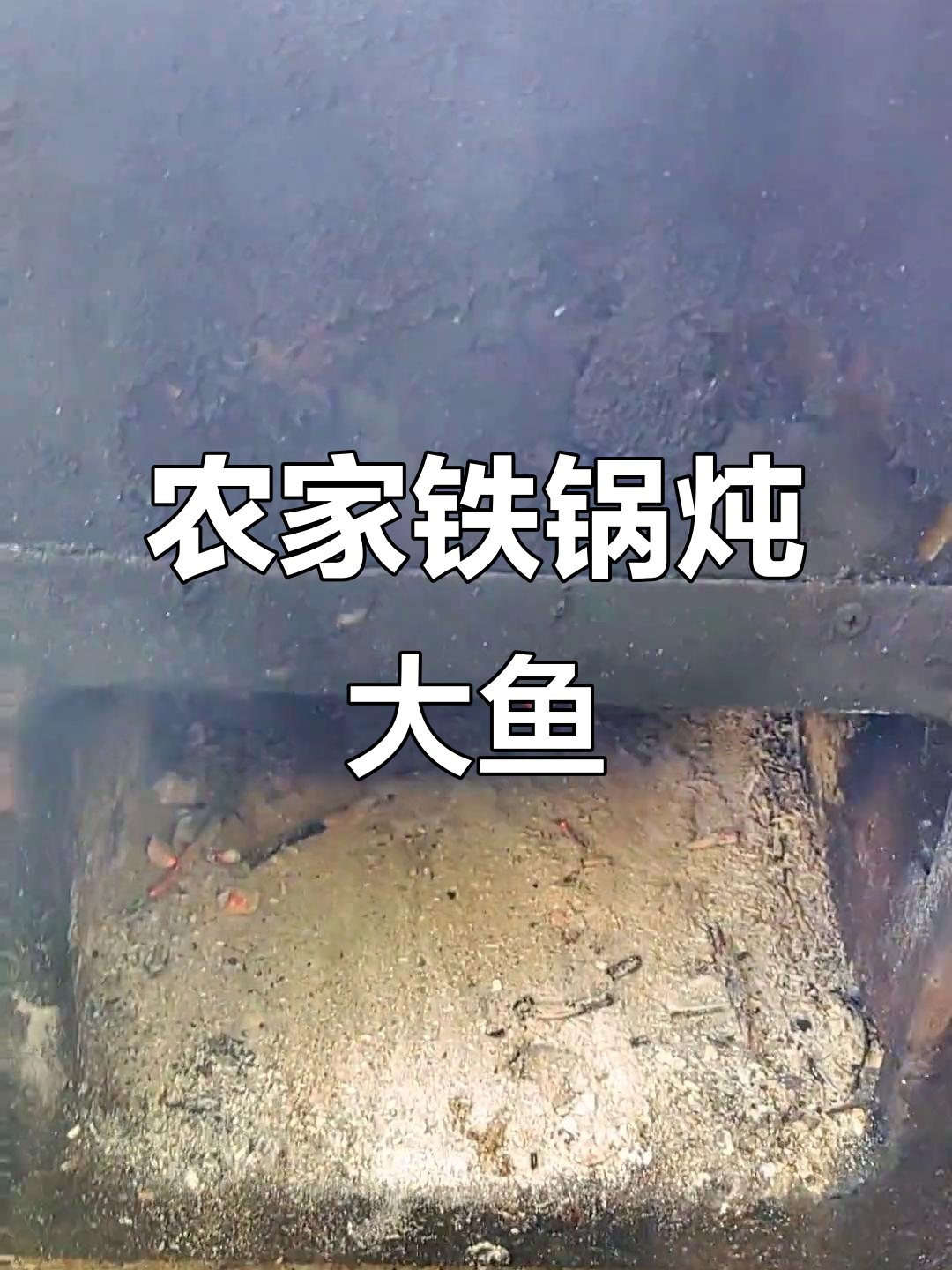 农家院铁锅炖大鱼,皮薄馅大的野菜种让人怀念